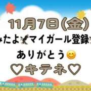 ヒメ日記 2025/11/08 10:02 投稿 はる なでしこ(十三)