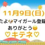 ヒメ日記 2025/11/10 10:01 投稿 はる なでしこ(十三)