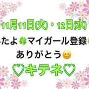 ヒメ日記 2025/11/13 10:02 投稿 はる なでしこ(十三)