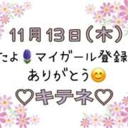 ヒメ日記 2025/11/14 10:02 投稿 はる なでしこ(十三)