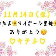 ヒメ日記 2025/11/15 10:02 投稿 はる なでしこ(十三)