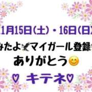 ヒメ日記 2025/11/17 10:02 投稿 はる なでしこ(十三)