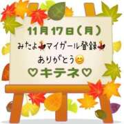 ヒメ日記 2025/11/18 10:01 投稿 はる なでしこ(十三)