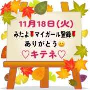 ヒメ日記 2025/11/19 10:02 投稿 はる なでしこ(十三)