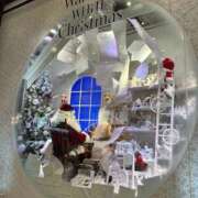 ヒメ日記 2025/11/20 20:30 投稿 はる なでしこ(十三)