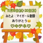 ヒメ日記 2025/11/21 10:02 投稿 はる なでしこ(十三)