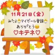 ヒメ日記 2025/11/22 10:02 投稿 はる なでしこ(十三)