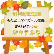 ヒメ日記 2025/11/24 10:02 投稿 はる なでしこ(十三)