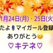 ヒメ日記 2025/11/26 10:01 投稿 はる なでしこ(十三)
