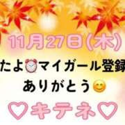 ヒメ日記 2025/11/28 10:01 投稿 はる なでしこ(十三)