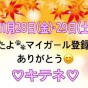 ヒメ日記 2025/11/30 10:02 投稿 はる なでしこ(十三)