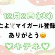 ヒメ日記 2025/12/03 10:01 投稿 はる なでしこ(十三)