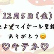 ヒメ日記 2025/12/06 10:02 投稿 はる なでしこ(十三)