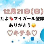 ヒメ日記 2025/12/22 10:01 投稿 はる なでしこ(十三)