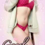 ヒメ日記 2025/12/23 08:45 投稿 はる なでしこ(十三)