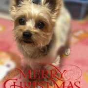 ヒメ日記 2025/12/25 09:30 投稿 はる なでしこ(十三)