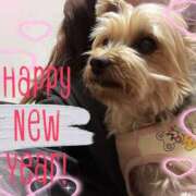 ヒメ日記 2026/01/02 07:01 投稿 はる なでしこ(十三)