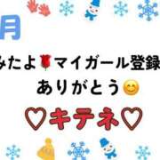 ヒメ日記 2026/01/17 10:02 投稿 はる なでしこ(十三)