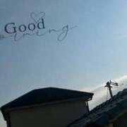 ヒメ日記 2026/01/24 09:15 投稿 はる なでしこ(十三)