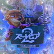 ヒメ日記 2026/01/24 19:46 投稿 はる なでしこ(十三)