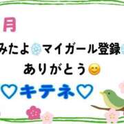 ヒメ日記 2026/01/26 10:01 投稿 はる なでしこ(十三)