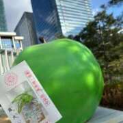 ヒメ日記 2026/01/29 22:08 投稿 はる なでしこ(十三)