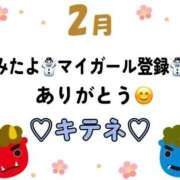 ヒメ日記 2026/02/08 10:03 投稿 はる なでしこ(十三)
