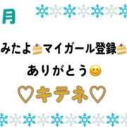 ヒメ日記 2026/02/12 10:02 投稿 はる なでしこ(十三)