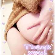 ヒメ日記 2026/02/16 17:02 投稿 はる なでしこ(十三)