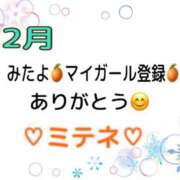 ヒメ日記 2026/02/18 10:01 投稿 はる なでしこ(十三)