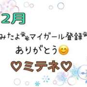 ヒメ日記 2026/02/19 10:02 投稿 はる なでしこ(十三)