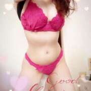 ヒメ日記 2026/02/20 08:45 投稿 はる なでしこ(十三)