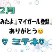 ヒメ日記 2026/02/22 10:02 投稿 はる なでしこ(十三)