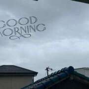 ヒメ日記 2026/02/25 09:02 投稿 はる なでしこ(十三)