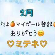 ヒメ日記 2026/02/28 10:02 投稿 はる なでしこ(十三)