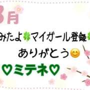 ヒメ日記 2026/03/01 10:02 投稿 はる なでしこ(十三)