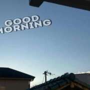 ヒメ日記 2026/03/10 08:11 投稿 はる なでしこ(十三)