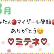 ヒメ日記 2026/03/11 10:02 投稿 はる なでしこ(十三)