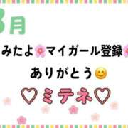 ヒメ日記 2026/03/12 10:02 投稿 はる なでしこ(十三)