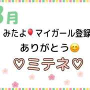 ヒメ日記 2026/03/14 10:02 投稿 はる なでしこ(十三)
