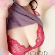 ヒメ日記 2026/03/16 08:45 投稿 はる なでしこ(十三)