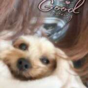 ヒメ日記 2026/03/18 08:36 投稿 はる なでしこ(十三)