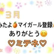 ヒメ日記 2026/03/20 10:03 投稿 はる なでしこ(十三)
