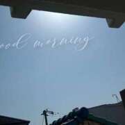 ヒメ日記 2026/03/21 09:34 投稿 はる なでしこ(十三)