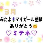 ヒメ日記 2026/03/22 10:02 投稿 はる なでしこ(十三)