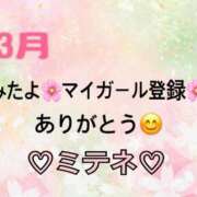 ヒメ日記 2026/03/23 10:02 投稿 はる なでしこ(十三)