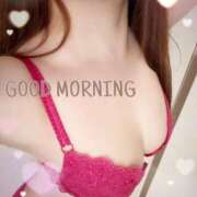 ヒメ日記 2026/03/25 08:45 投稿 はる なでしこ(十三)