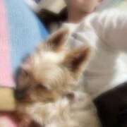 ヒメ日記 2026/03/26 19:02 投稿 はる なでしこ(十三)