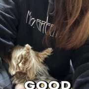 ヒメ日記 2026/03/27 08:46 投稿 はる なでしこ(十三)