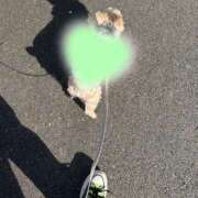 ヒメ日記 2026/03/27 21:29 投稿 はる なでしこ(十三)